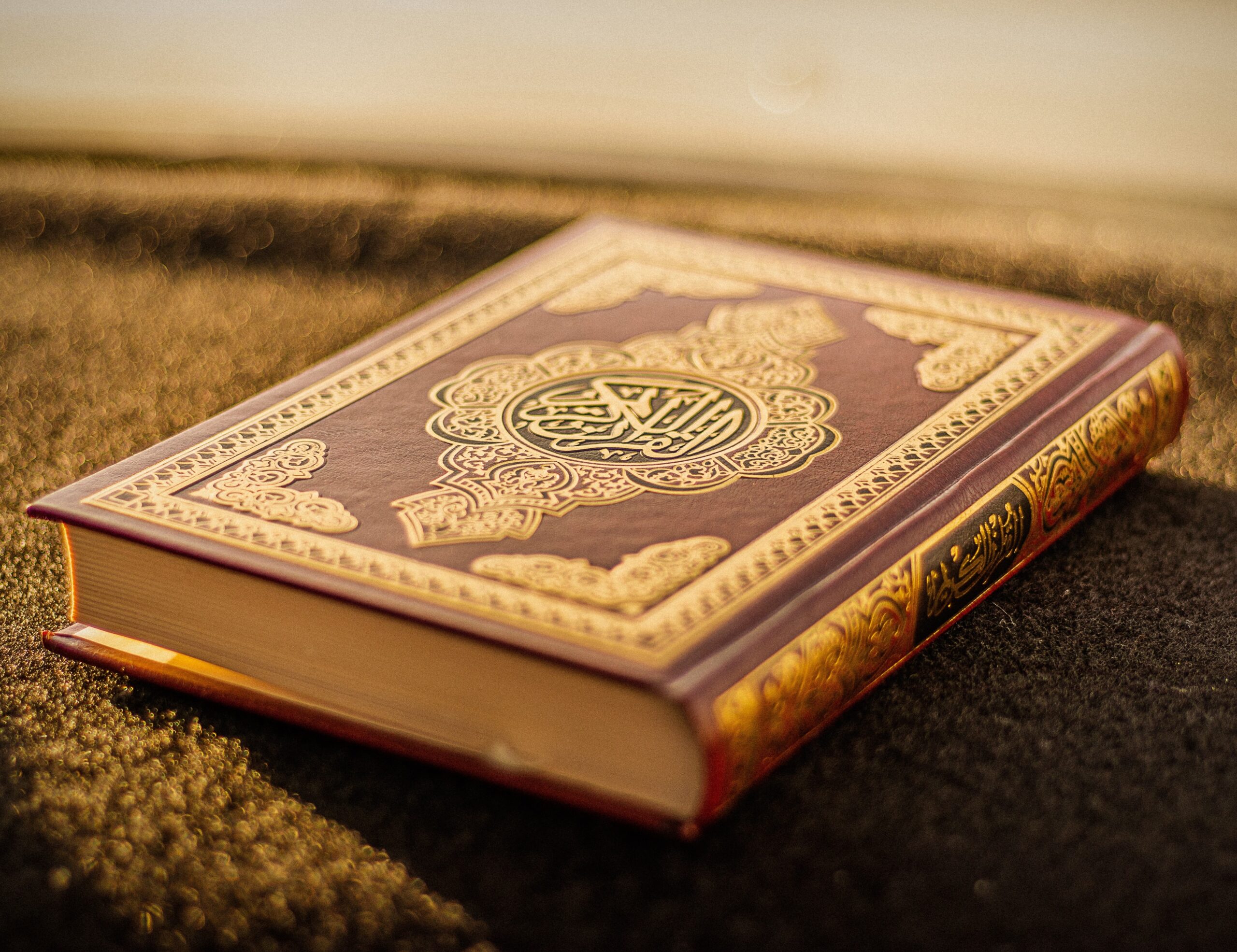 mdjihadhossen-islam-8519137