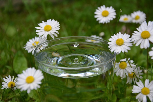 water-drop-4293618_640