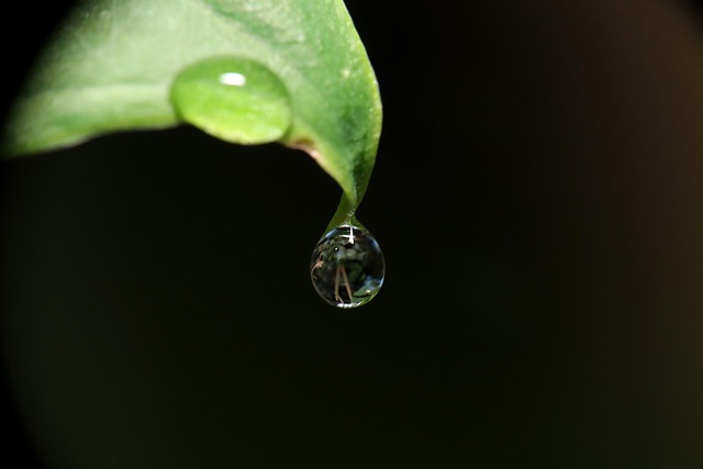 water-drop-4385134_640